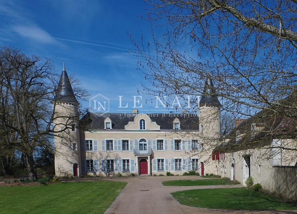 Château à LA ROCHE POSAY