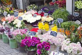 Vente magasin de fleurs indépendant à Saint-Malo