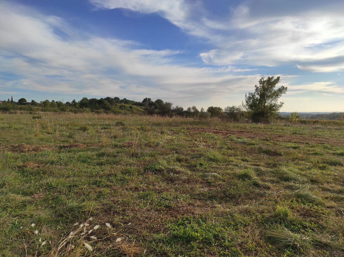 Vend terrain de loisirs de 1391m² à Montpezat Vend terrain de loisirs de 1391m² à Montpezat