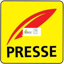 Vente Presse librairie jeux en Charente-Maritime