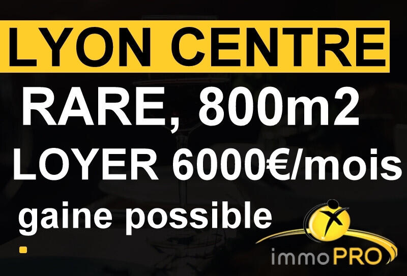 Vend local de 800m² sur Lyon intramuros