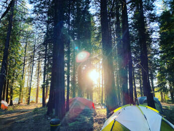 Vente atypique camping 4 **** en Occitanie