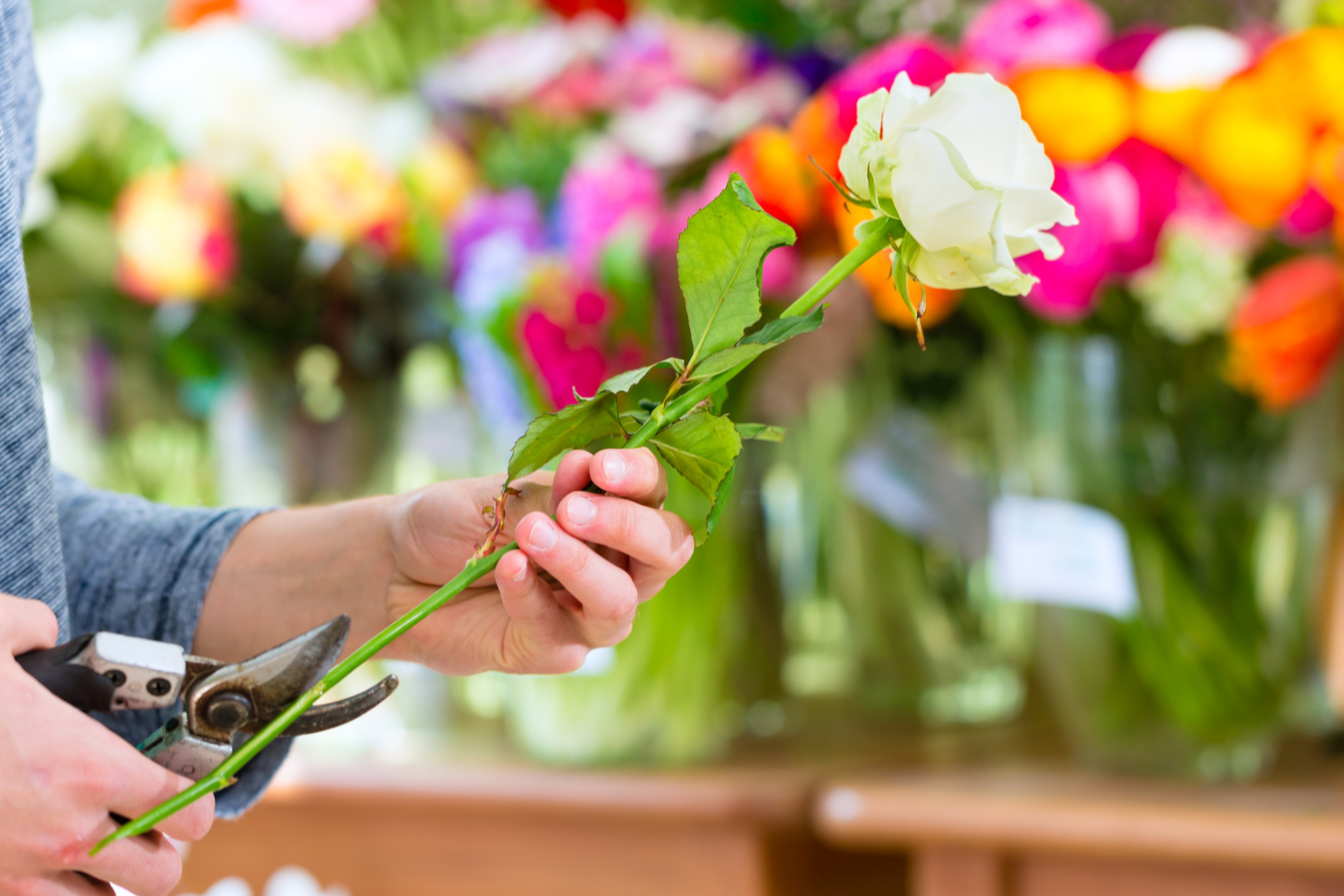 Vente commerce de fleurs en angle à Crancey