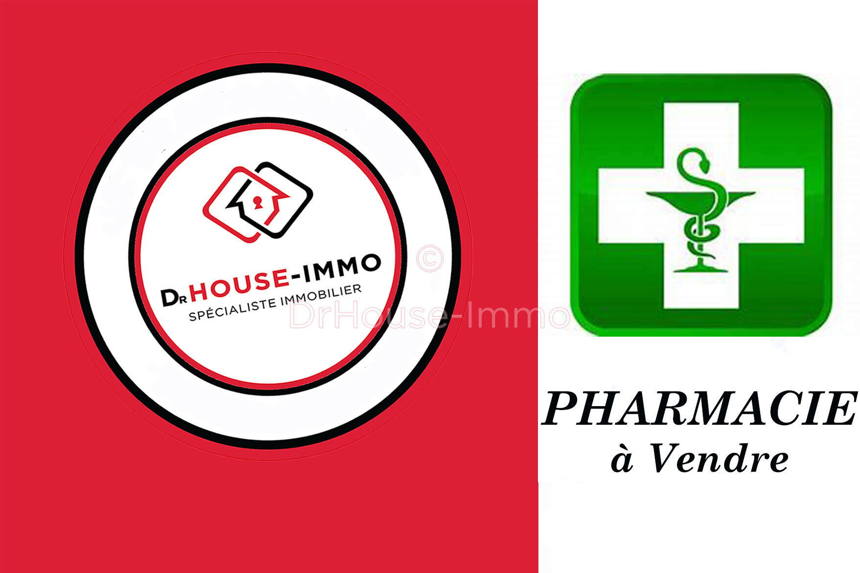 Vente pharmacie affaire numéro 1 à Champtoce