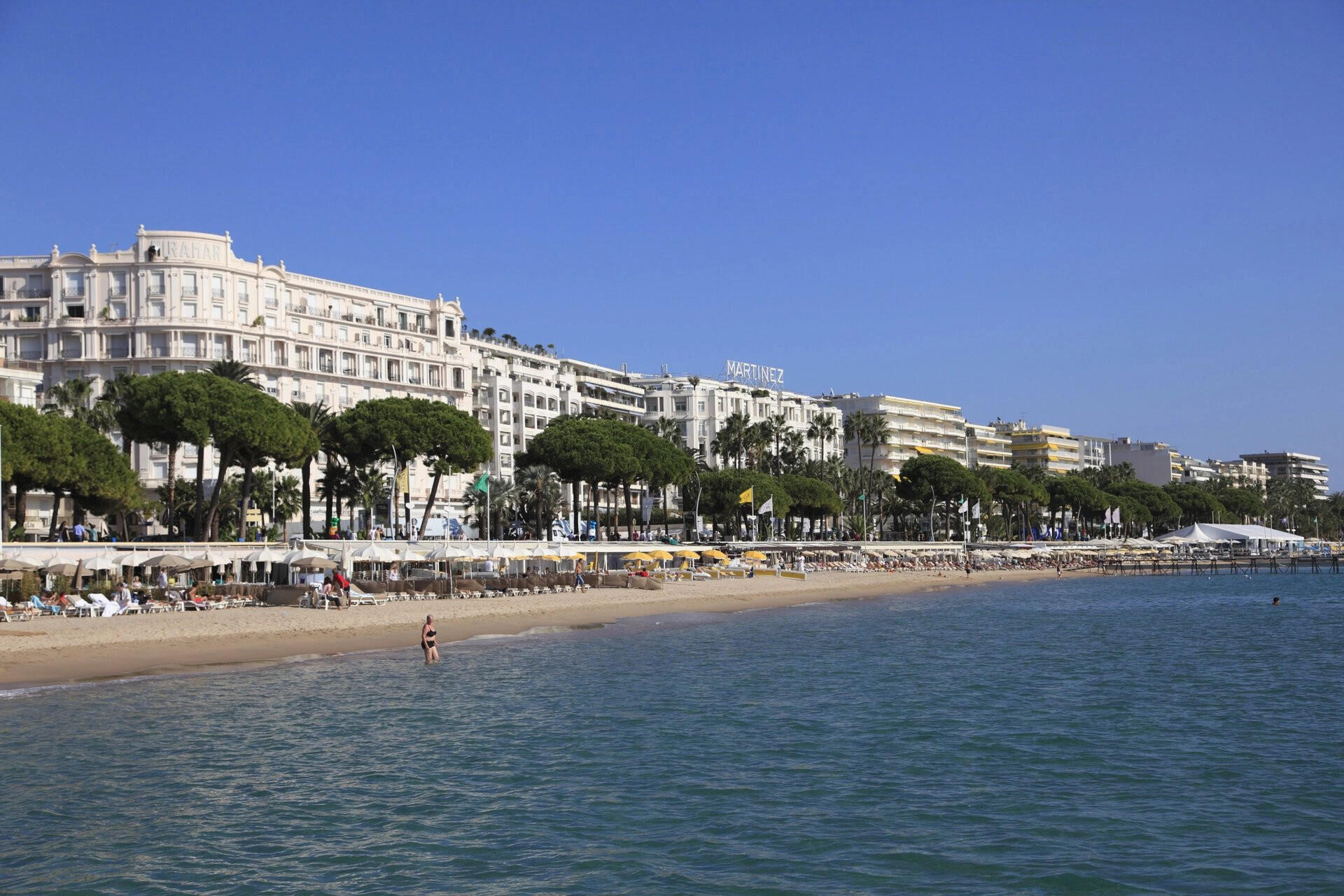 Plage à vendre concession balnéaire sur Cannes 