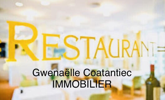 Vend bar restaurant extraction à Bordeaux centre
