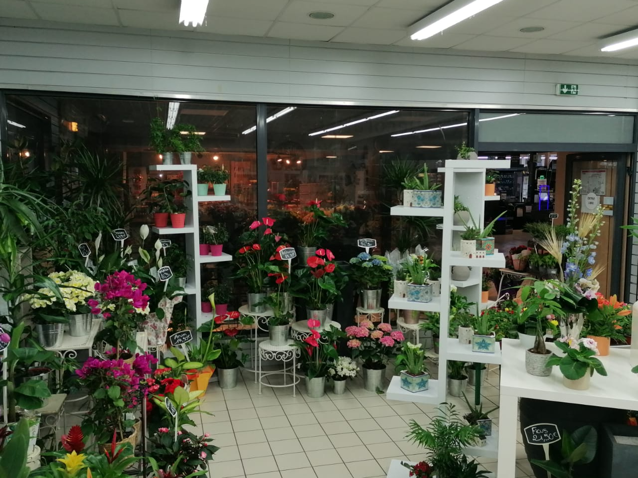 Vente fleuriste galerie marchande hyper sur Melun