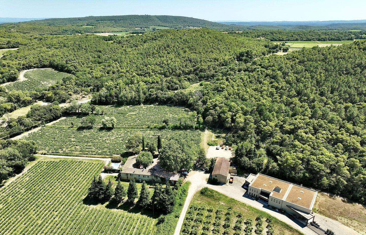 Vente domaine vinicole entre Avignon et Montélimar