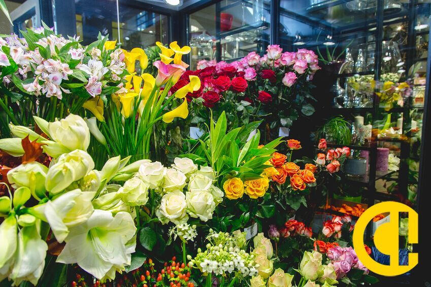 A vendre FDC fleuriste à Clermont-Ferrand centre