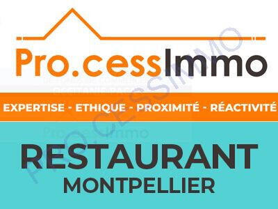 Vend restaurant à thème en zac de Montpellier