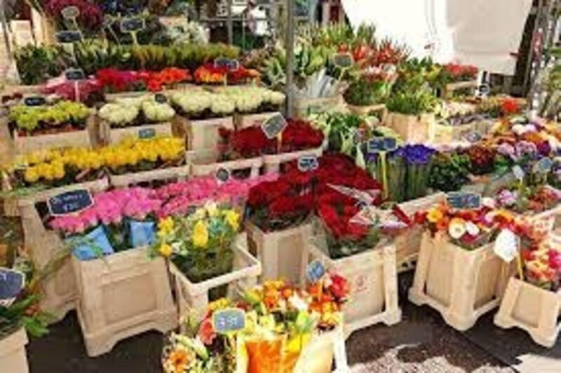 Magasin de fleurs à vendre à Strasbourg Est