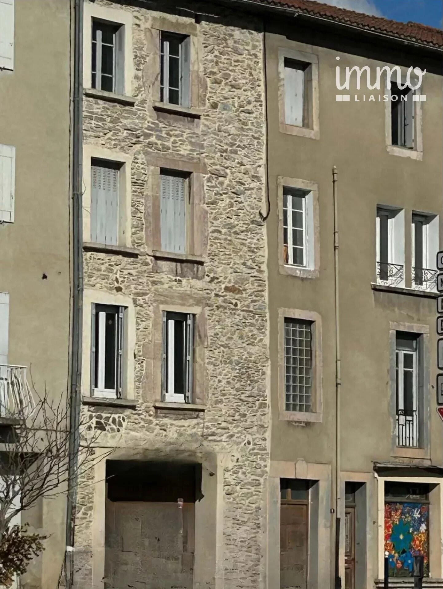 Vente immeuble de 260m² à Saint Pons de Thomières