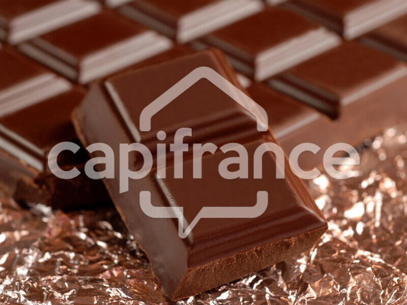 Chocolaterie à vendre à Barbezieux Saint Hilaire