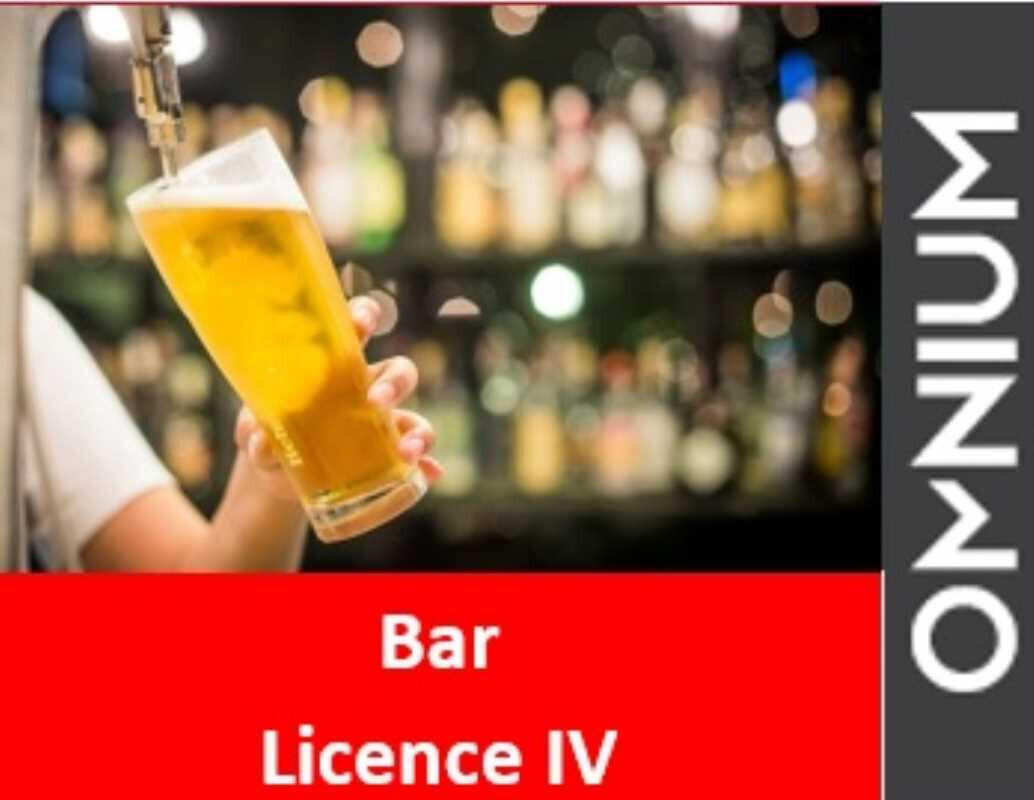 AV bar licence IV quartier festif et animé de Lyon