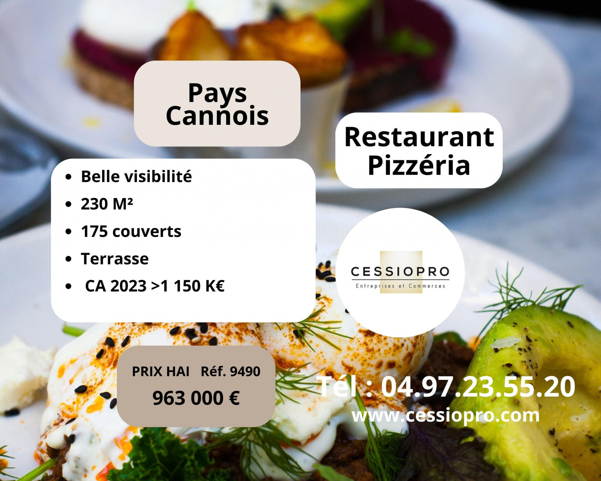 Vente restaurant pizzeria terrasse Pays Cannois