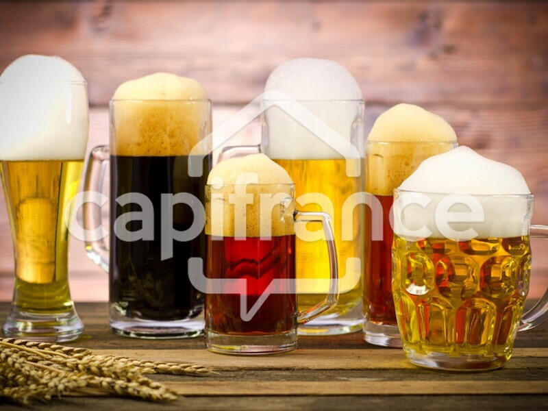 Bar à bière à vendre à Lyon 69005 Saint Jean