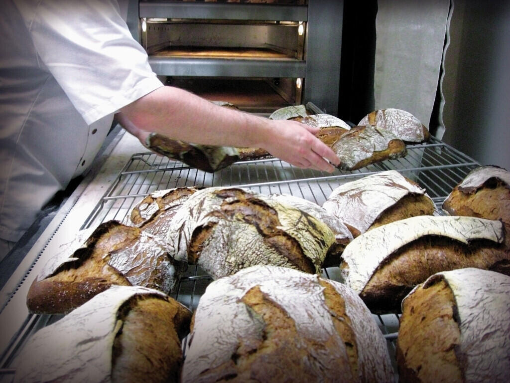 Boulangerie-pâtisserie à vendre proche du Touquet